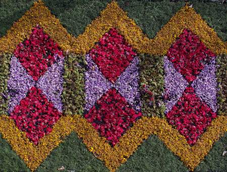 Corpus Christi flower carpet, Mazo, La Palma. Canary Islands
