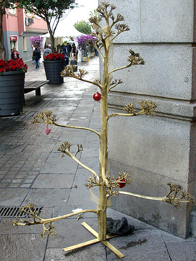 A sprayed agave stalk, decorated as a christmas tree