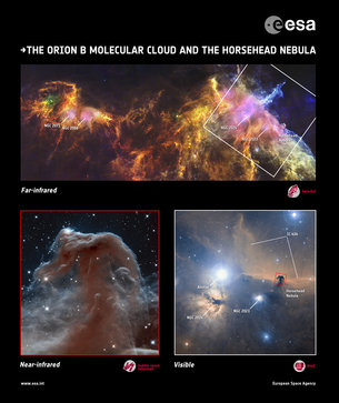 ESA graphic of the Horsehead Nebula and surrounding area