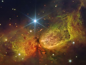 Stars being born inside a nebula